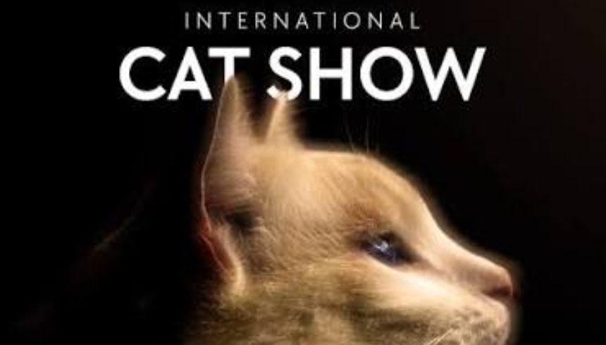 Petzoo Eurasia, International Cat Show ile Kediseverleri ve Sektörü Bir Araya Getiriyor